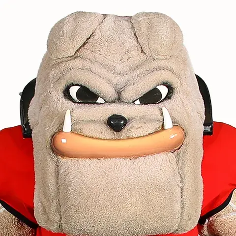 Tgbc Staff Dawg Hairy 480x480
