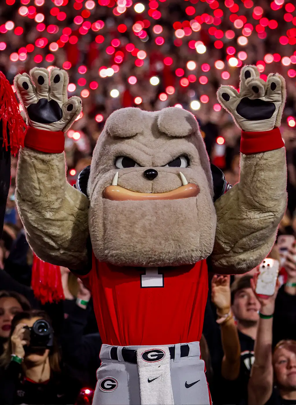 Hairy Dawg